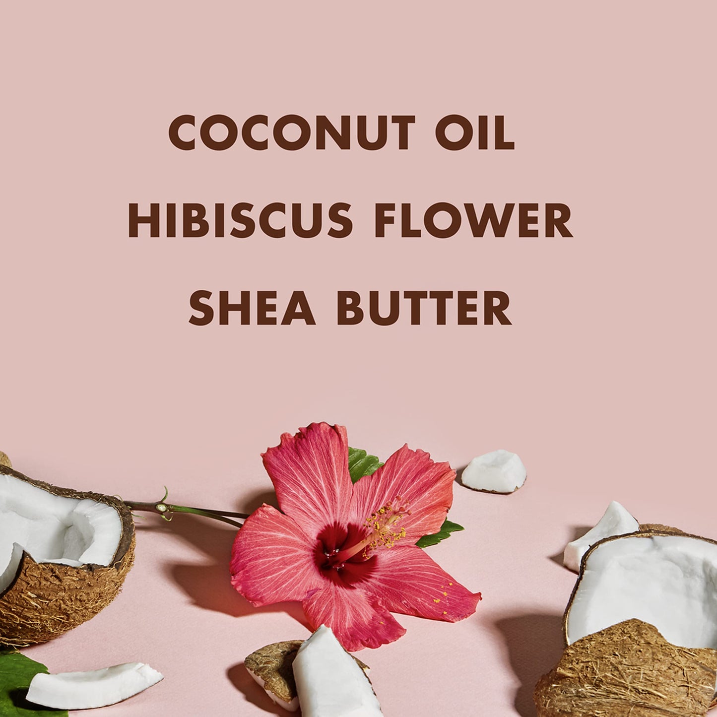 SheaMoisture Curl and Shine Coconut Shampoo for Curly Hair Coconut and Hibiscus Paraben Free Shampoo 13 oz 2 Count Beauty and Personal Care Shea Moisture