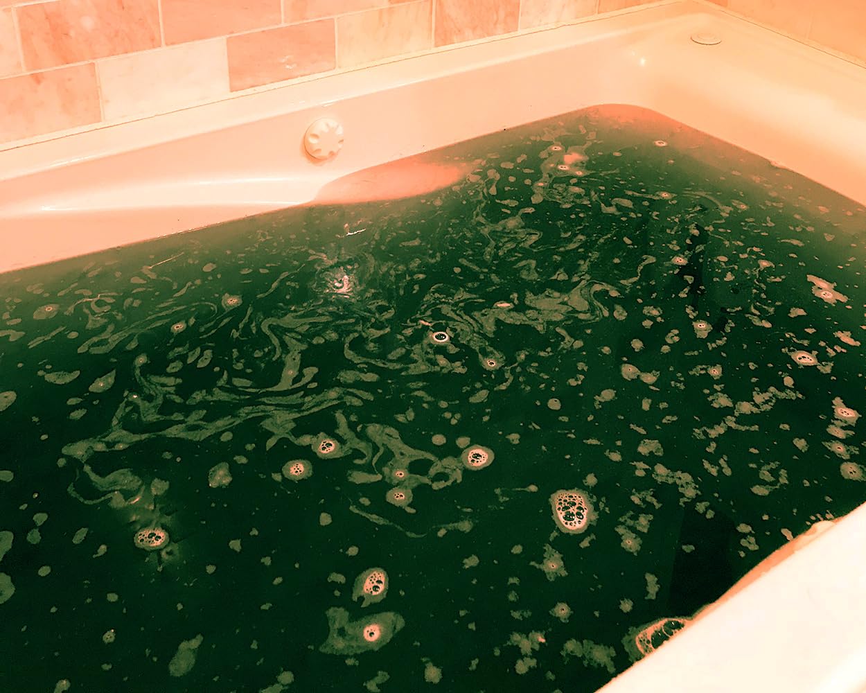 Kids Dino Bombs Dinosaur Bath Bombs - Fun XL Bathbombs for Kids - 5 Ounces Each - Kids Bath Fizzers - Turns Kids Bath Water Murky Green - 2 Pack