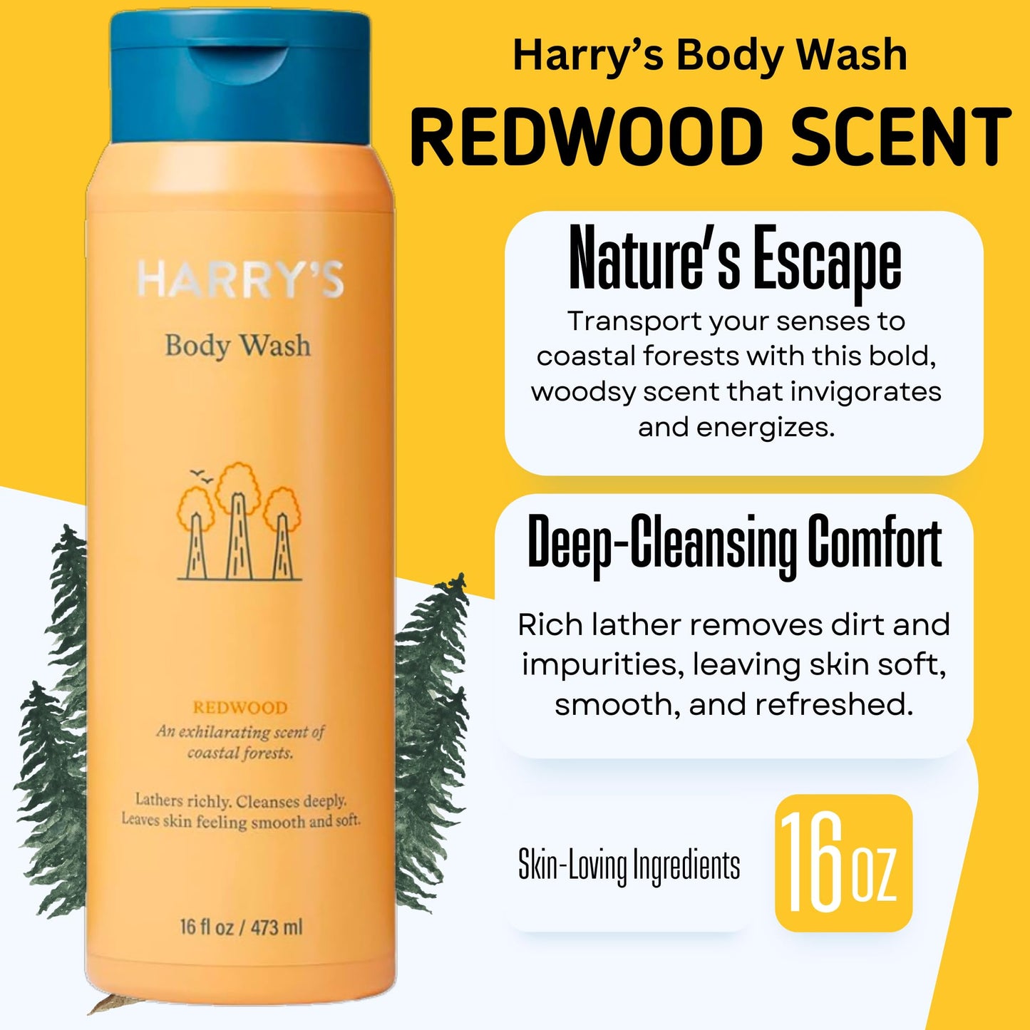 Harry's Men's Body Wash, 18 Fl oz (Pack of 4) | Men's Body Wash and Shower Gel Variety Pack - Stone, Redwood, Fig & Spring Scent | Sulfate-Free