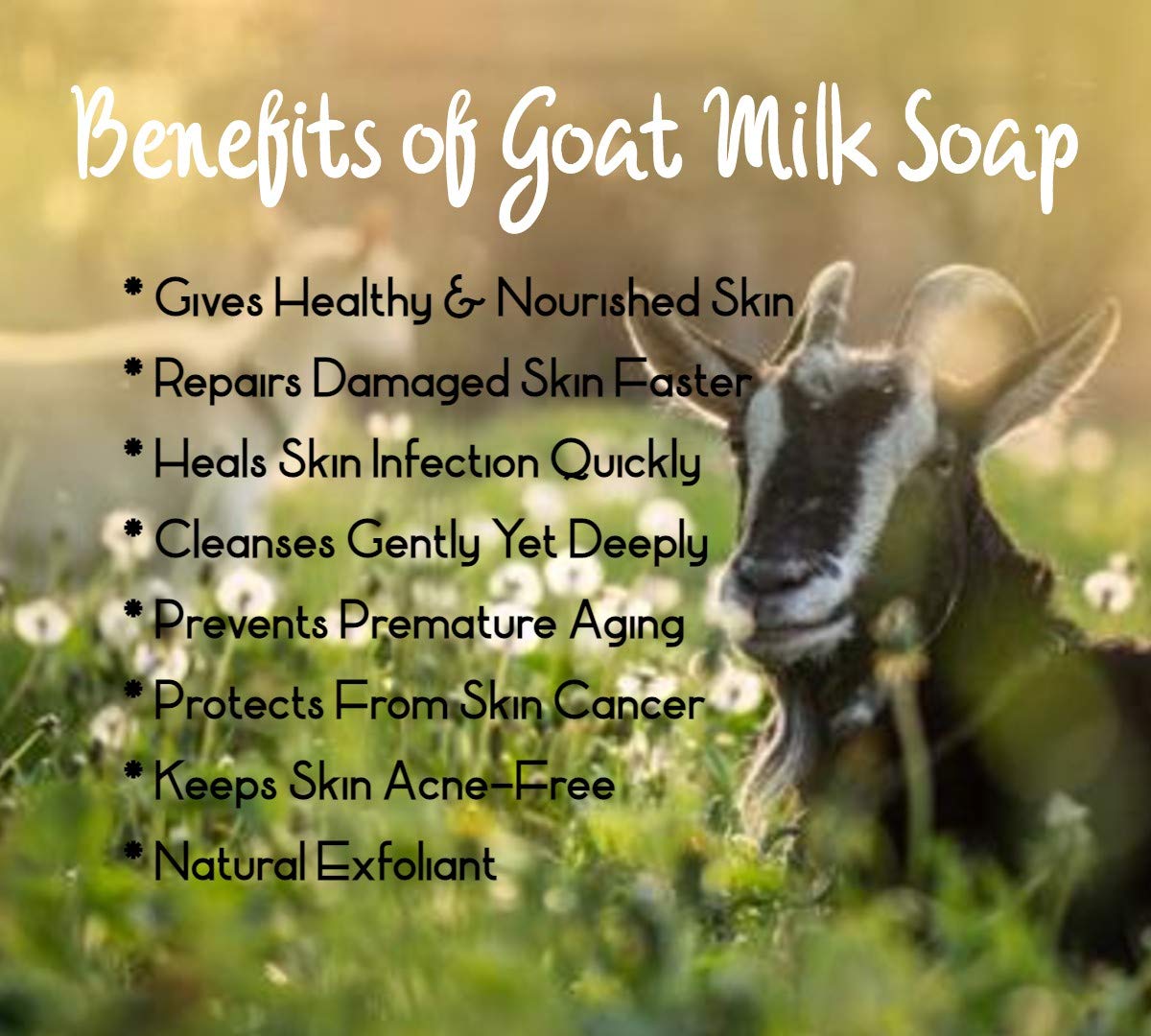 SUNAROMA Soap - 8.5oz (Goat*s Milk with Shea Butter and Manuka Honey)