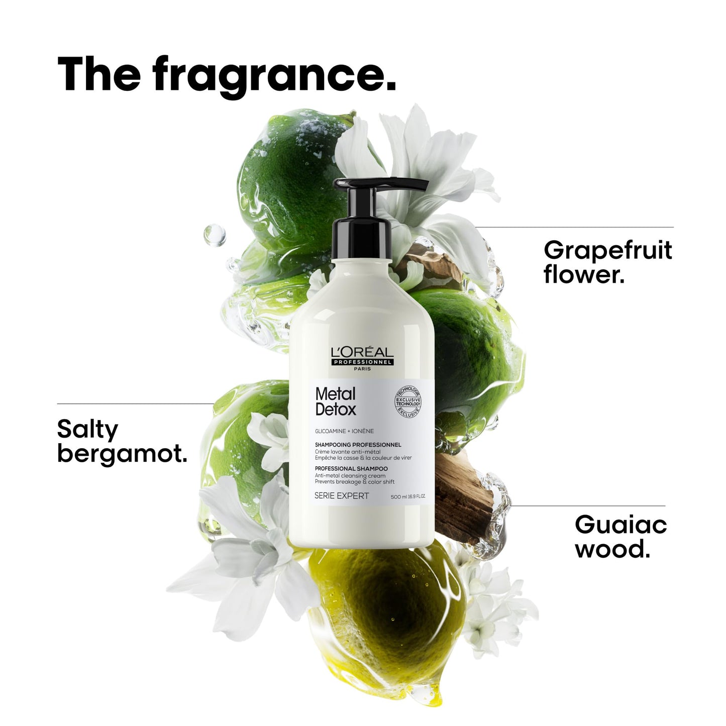 L'Oréal Professionnel Paris Metal Detox Shampoo - Sulfate-Free Anti-Breakage Shampoo For Damaged Hair, Detoxifies, Prevents Damage & Prolongs Hair
