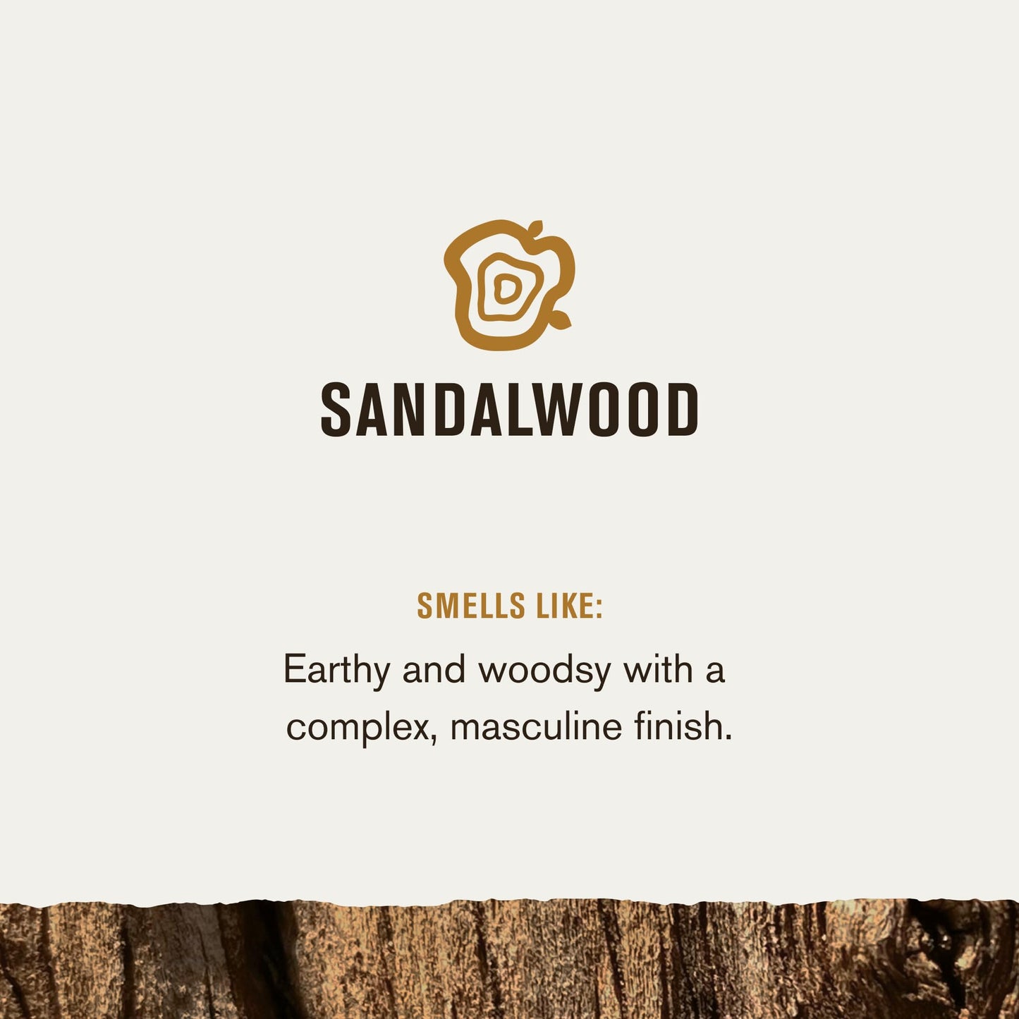 Every Man Jack, Sandalwood Body Kit Beauty and Personal Care Every Man Jack