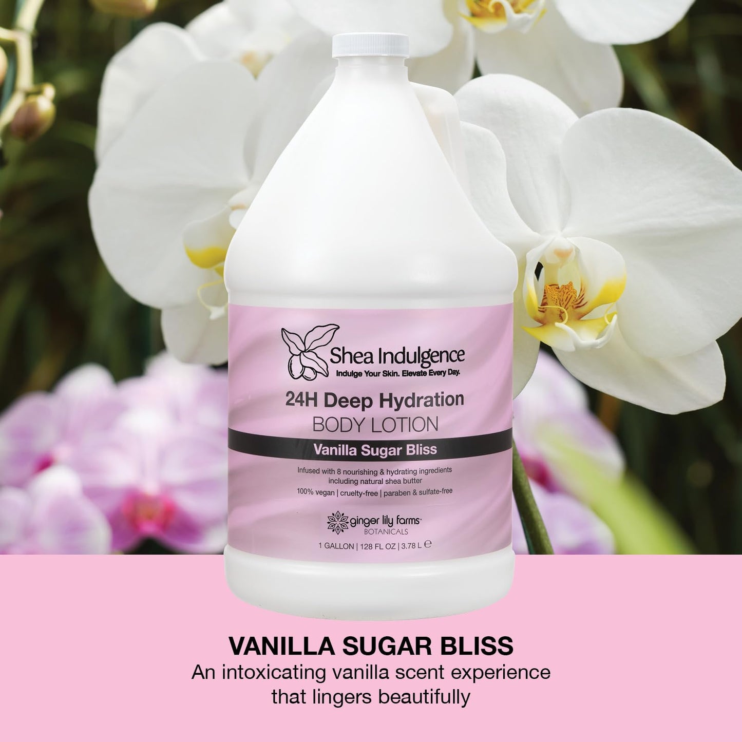 Ginger Lily Farms Botanicals Shea Indulgence 24H Deep Hydration Body Lotion, 100% Vegan & Cruelty-Free, Vanilla Sugar Bliss Scent, 1 Gallon (128 fl