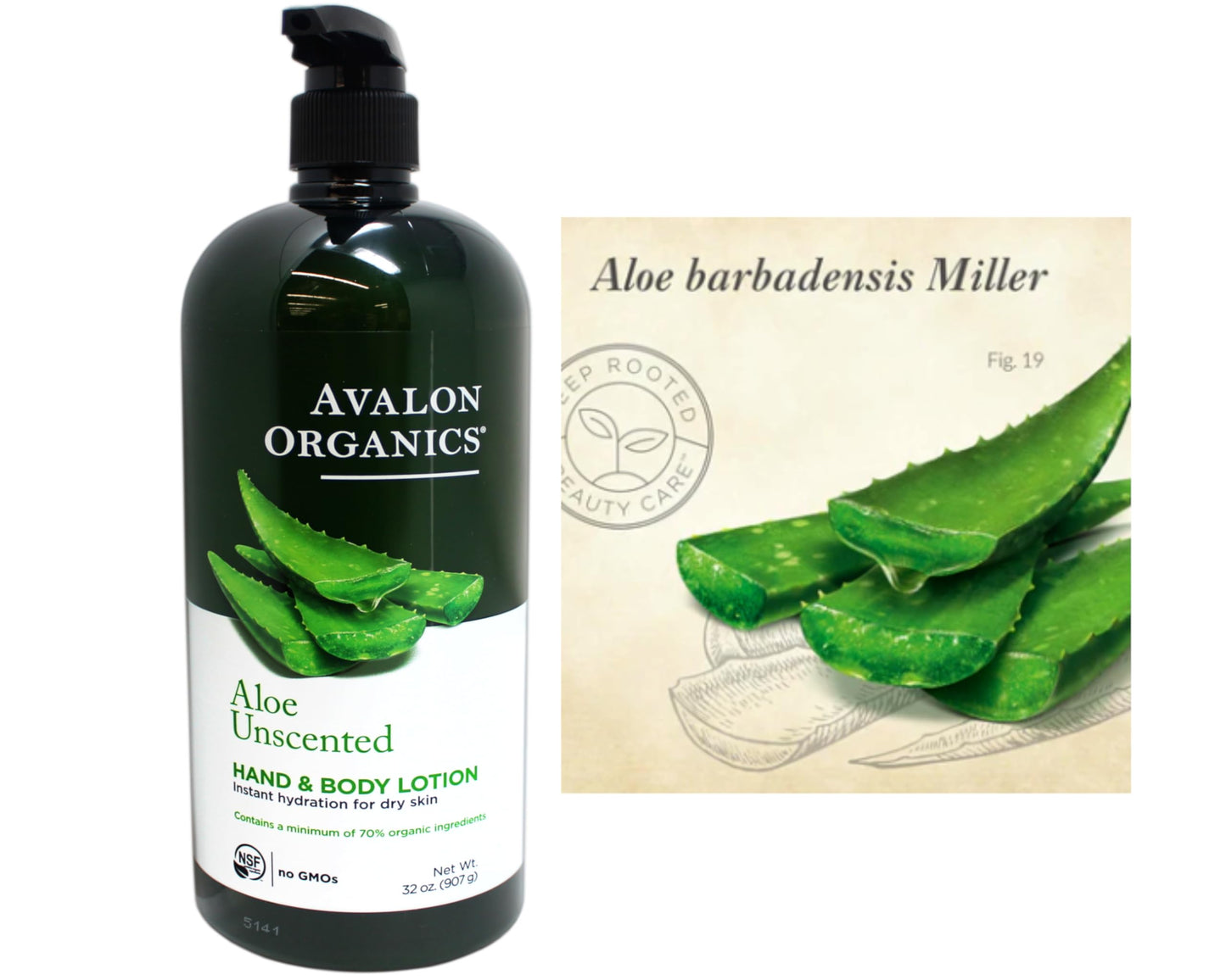 Aloe Unscented Hand & Body Lotion Beauty & Personal Care Avalon Organics