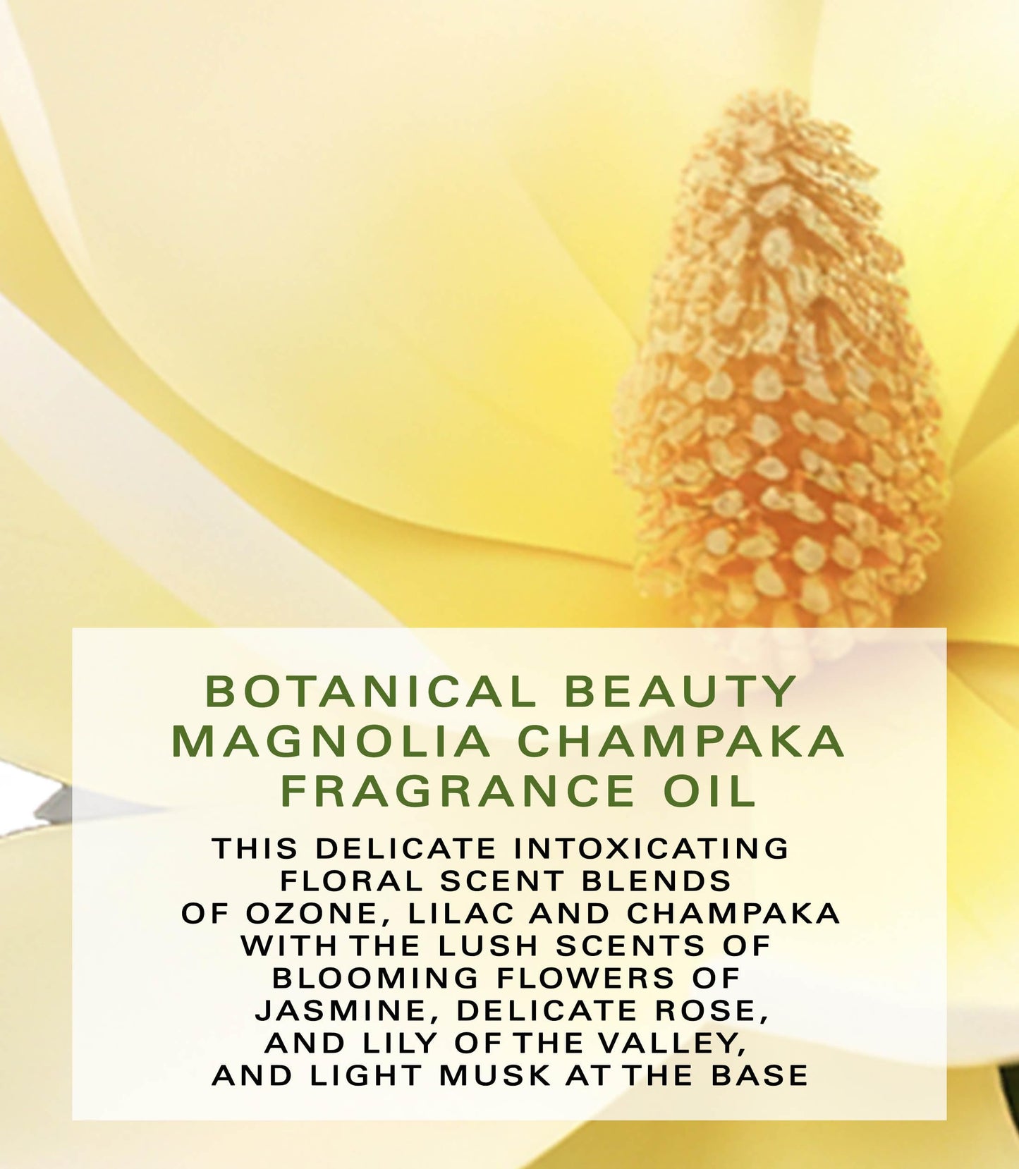 Botanical Beauty MAGNOLIA CHAMPAKA FRAGRANCE OIL ROLL-ON 0.338 Fl Oz 10 ml Rollerball Perfume, Long Lasting an luxury scent of blend of Lilac
