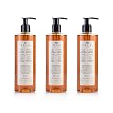 Prija Vitalising Hand Wash with Ginseng Extract Gently Cleanses Hands, Moisturizing Liquid Hand Soap, Vegan Friendly with Energizing Fragrance 3 x
