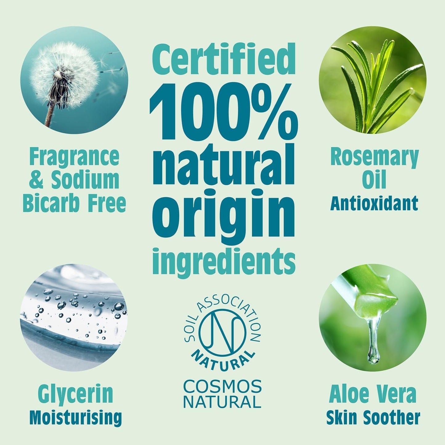 SALT OF THE EARTH Natural Deodorant Spray, 100 ML Beauty and Personal Care Salt Of the Earth