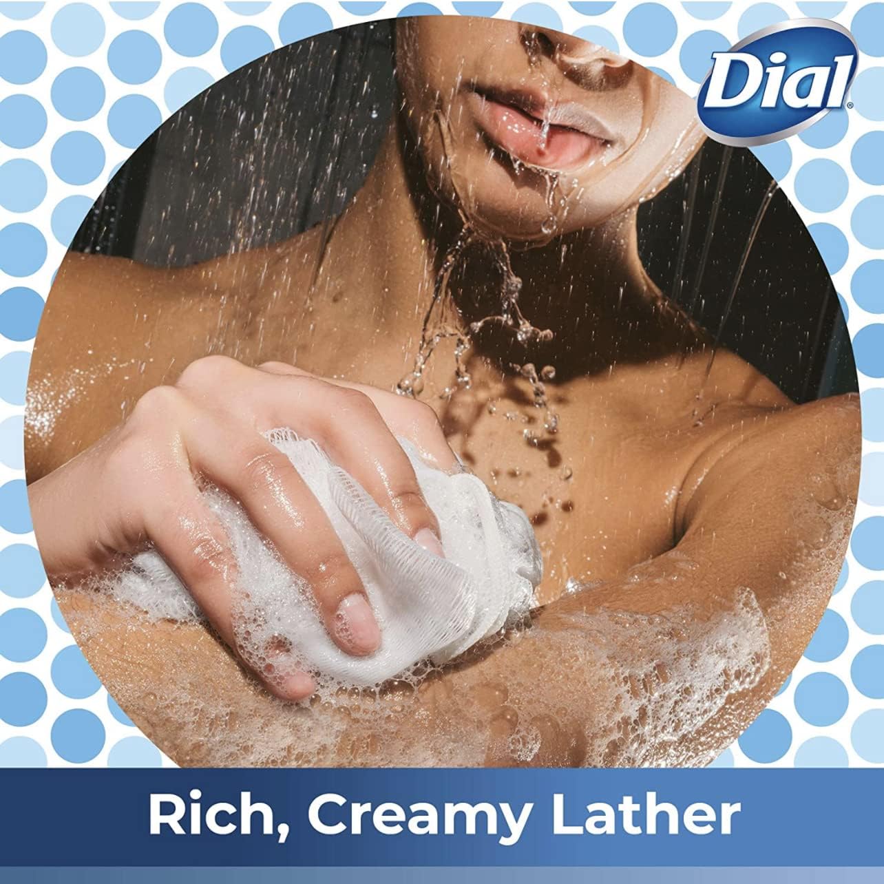 Dial Moisturizing Body Wash - Silk & Magnolia - Net Wt. 16 FL OZ (473 mL) Per Bottle - Pack of 2 Bottles