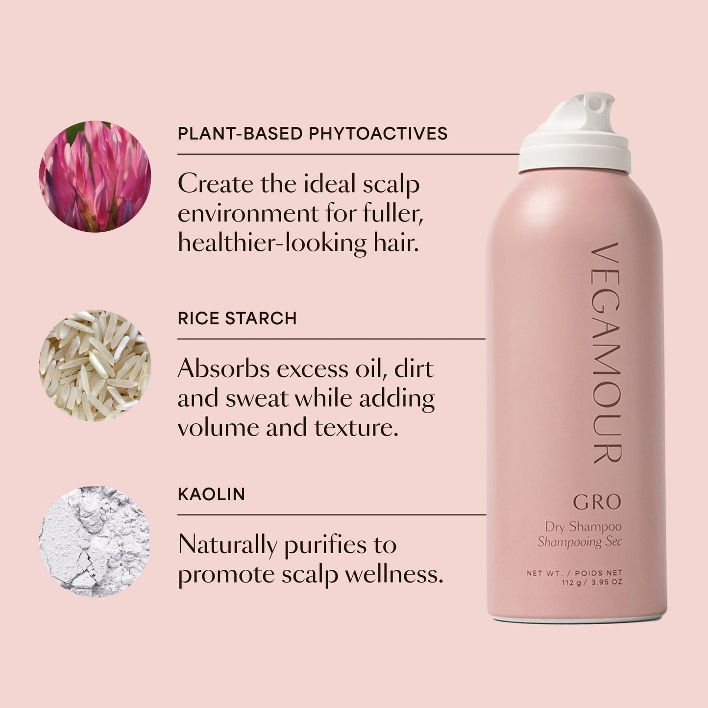 VEGAMOUR GRO Dry Shampoo - Plant-Powered, Absorbs Oil, Neutralizes Odor, Adds Volume, Talc-Free, No Buildup, Refreshes Between Washes, Vegan Beauty and Personal Care VEGAMOUR