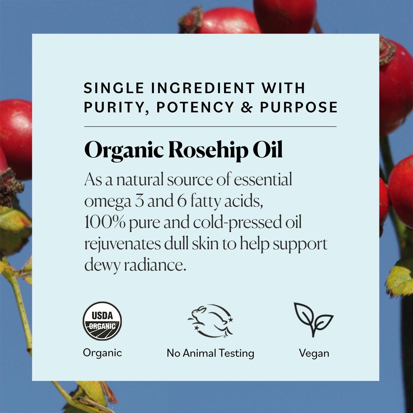 Sky Organics Travel Size Revitalizing Glow Face Oil, Rosehip Oil for Face - Nourishes Without Clogging Pores, Rosehip Seed Oil Organic for Bright