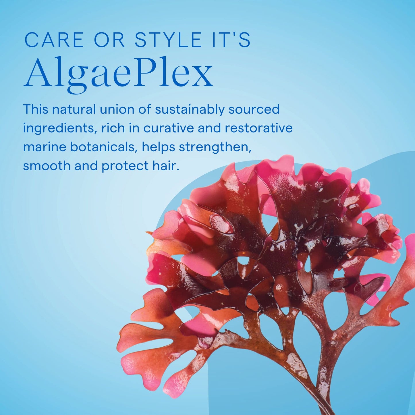 AQUAGE Thickening Spray Gel, For Fine or Thin Hair Types, Infused with Sea Botanicals, Adds Body, Vitality, Firm Hold, 8 oz
