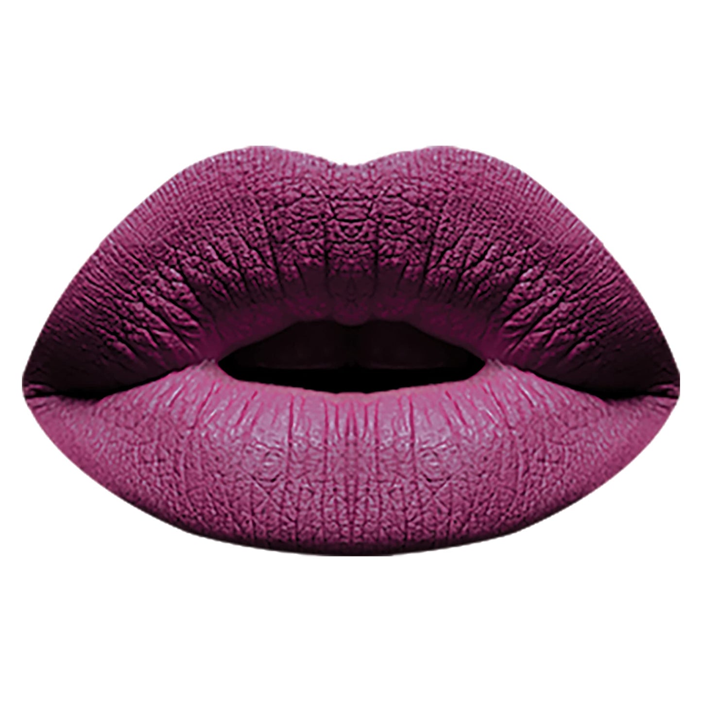 Ruby Kisses Forever Matte Liquid Lipstick - RFML14 (Plummy Mood)