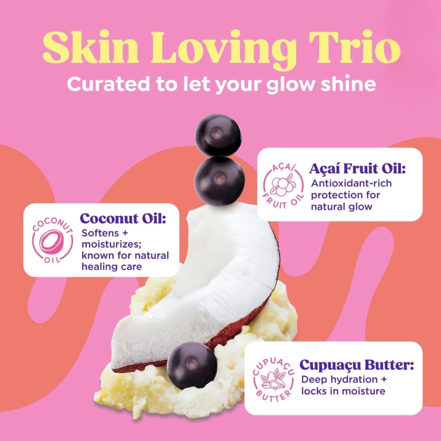 PDC Brands Sunryz Limited Edition Summer Scented Body Wash and Whipped Body Cream Duo, Golden Sugar, 12 FL OZ Body Wash, 8 OZ Body Cream, 2 Piece Set Beauty & Personal Care PDC Brands