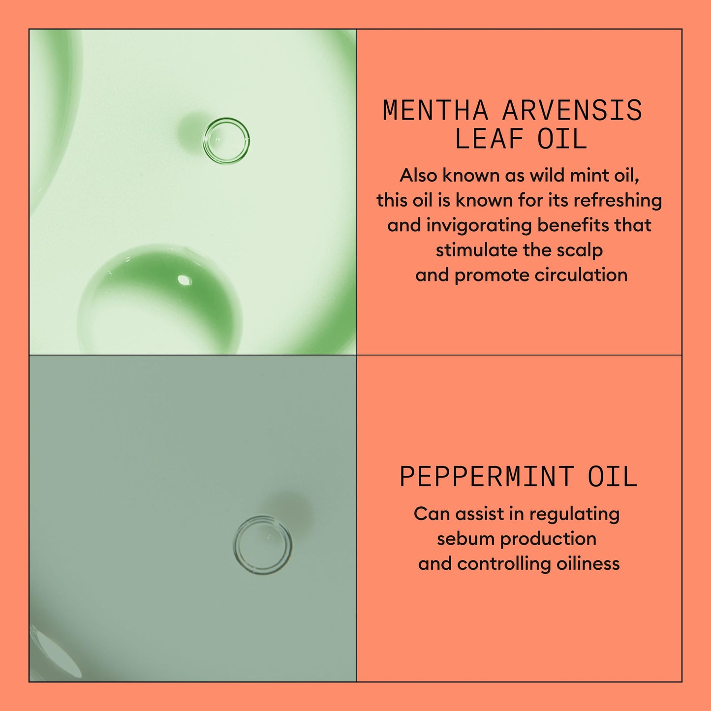 NIOXIN System 4 | Scalp Care | Thickening Conditioner | Colored Dry Hair Beauty and Personal Care NIOXIN