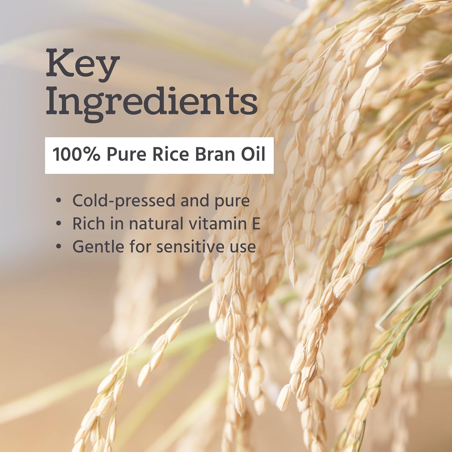 Well's Oil Rice Bran Oil 4 oz | 100% Pure Natural Carrier Oil | For All Skin & Hair | Refined, Cold Pressed | For Body, Skin & Hair | DIY Creams