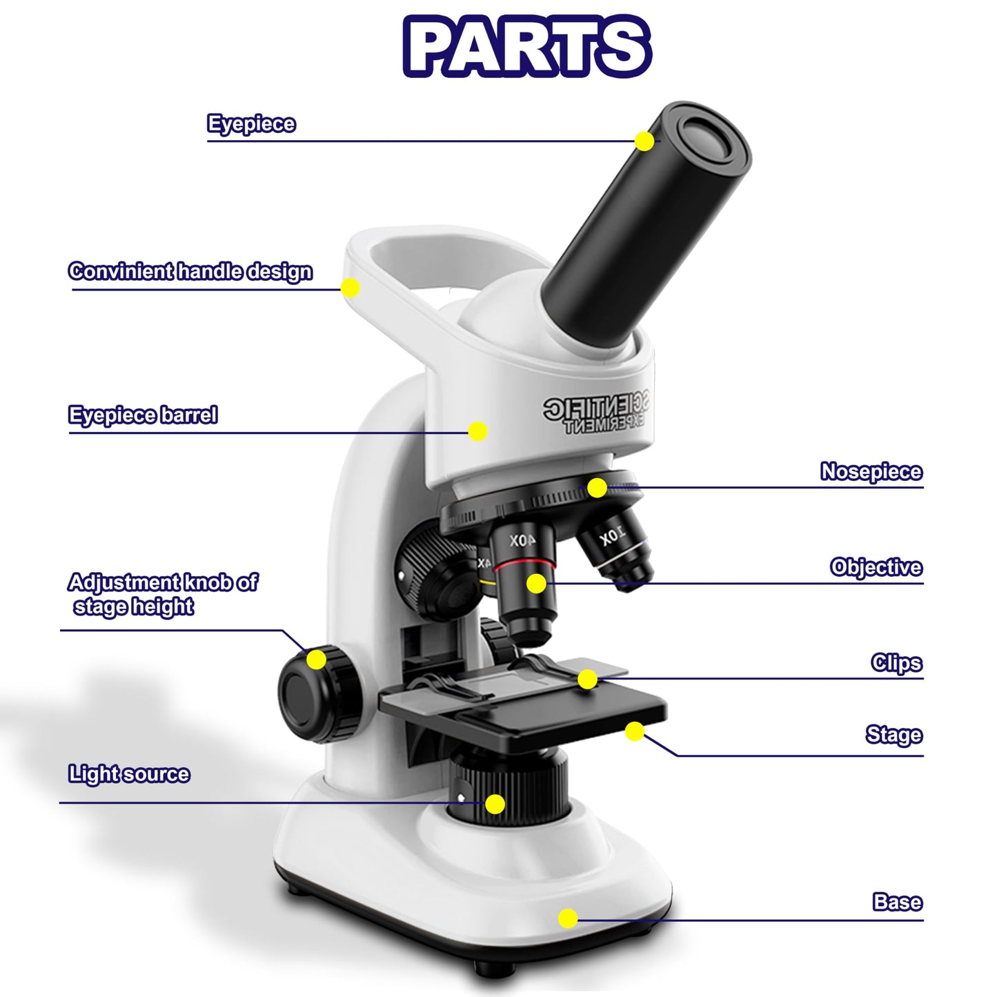 Double CC Kids Microscope Kit – 40x-1600x Beginner STEM Science Set with LED Light, Prepared Slides & Tools, Educational Toy Ages 5–12