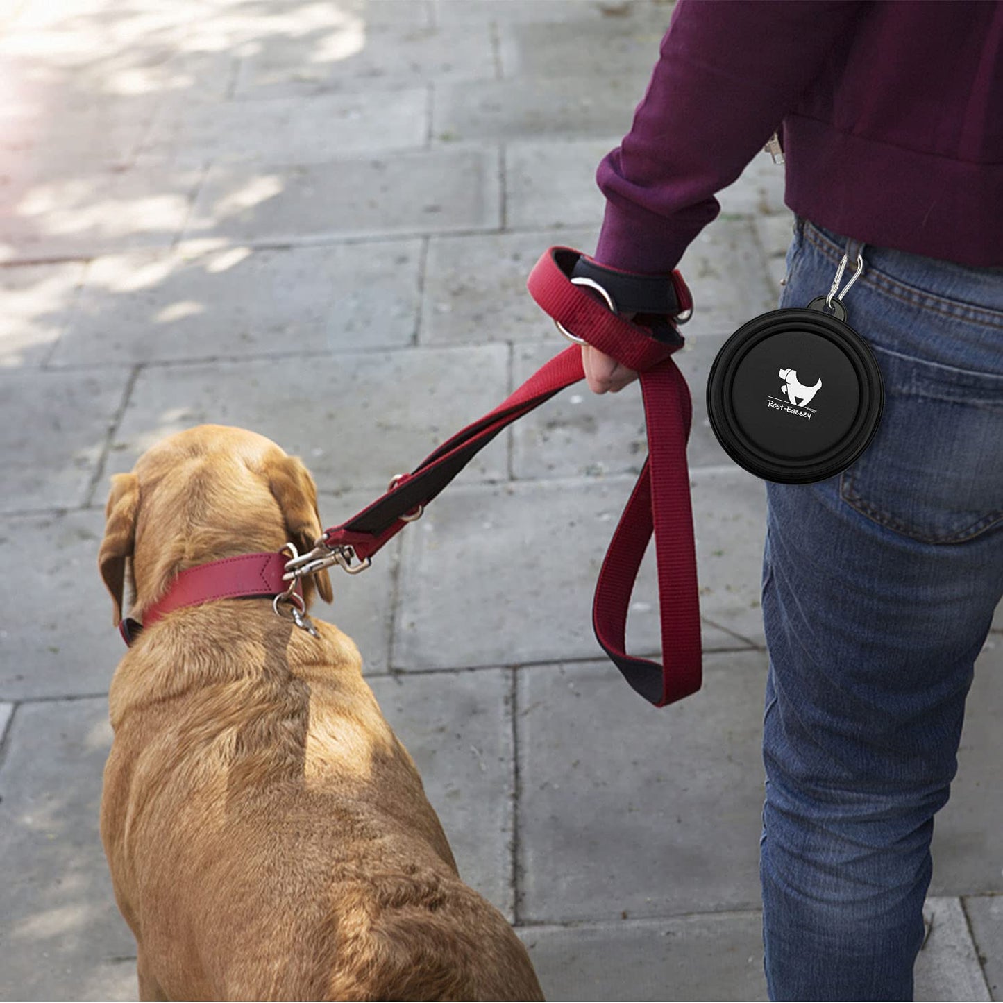 Collapsible Dog Bowls for Travel – 2-Pack Portable Water & Food Bowls for Dogs & Cats, Foldable Pet Dishes with Carabiners, BPA-Free