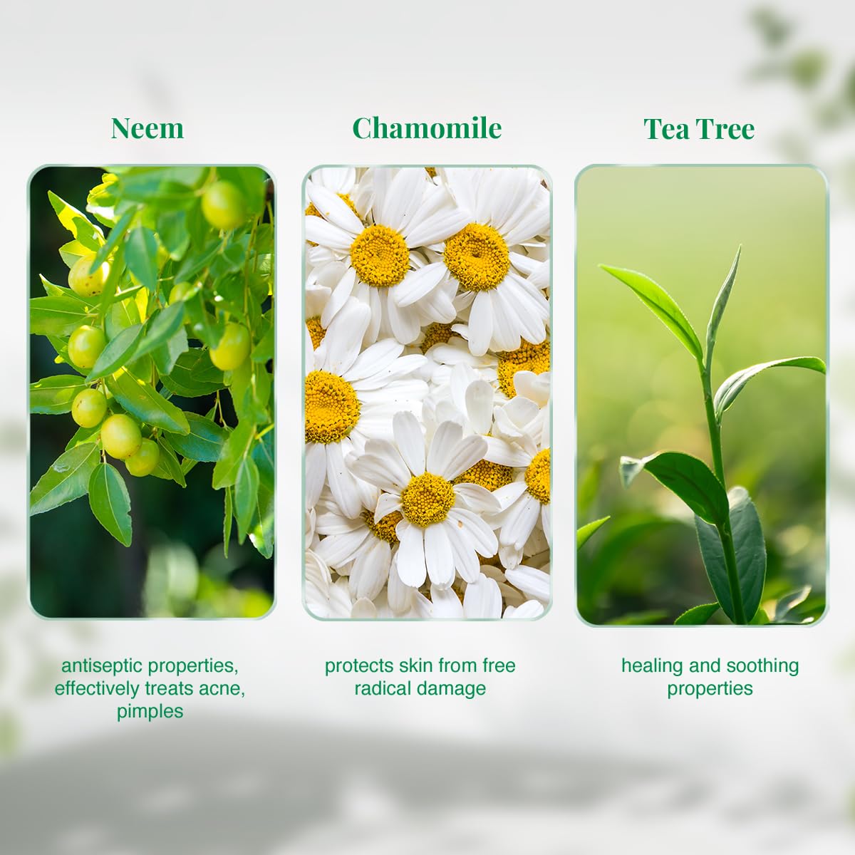 VLCC Neem Face Wash with Chamomile & Tea Tree | Anti-Acne Facial Cleanser with Soothing Properties | 5.07 Fl Oz/150 ml (Pack of 2)