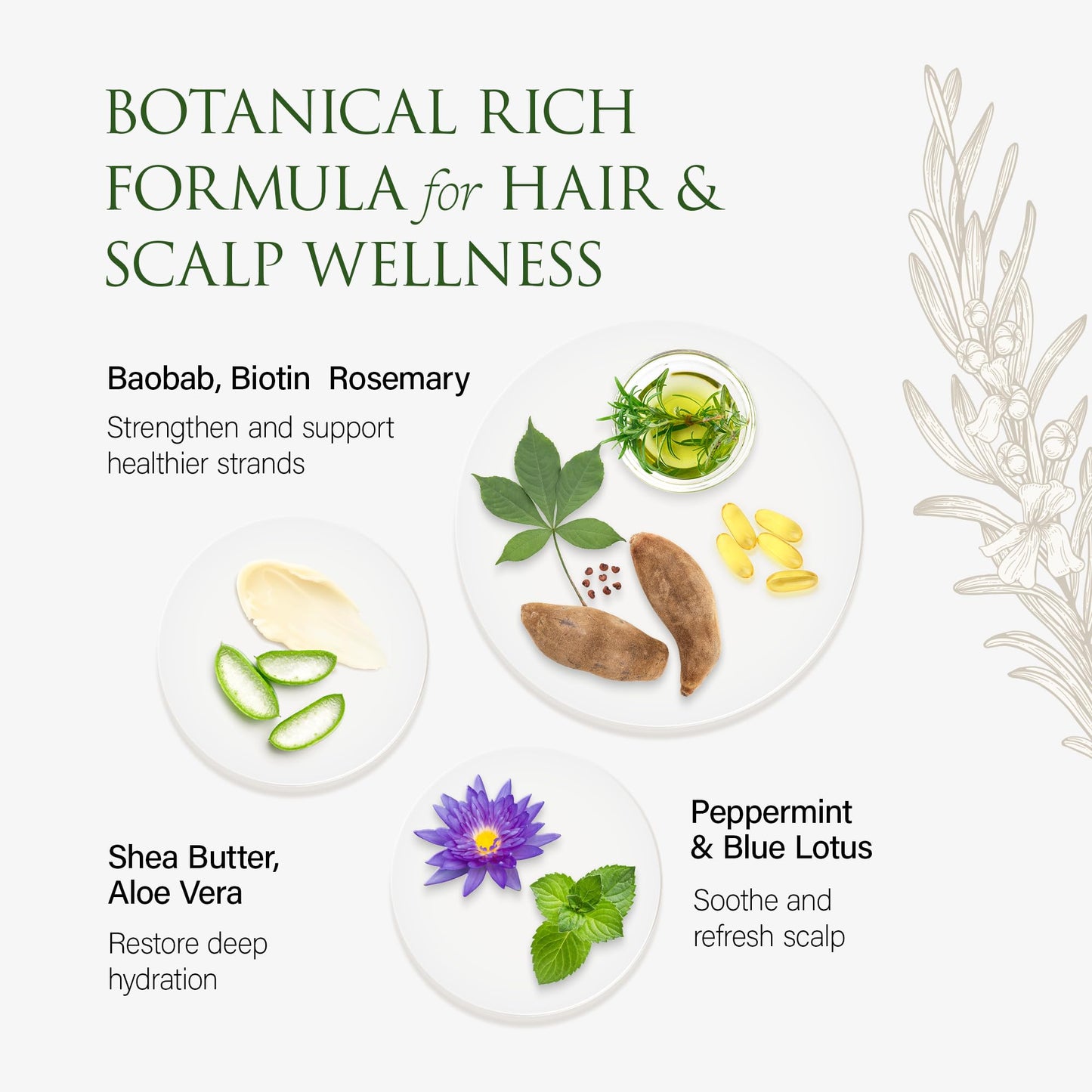 Christina Moss Naturals Conditioner Organic and Natural Ingredients, No Silicones, No Parabens