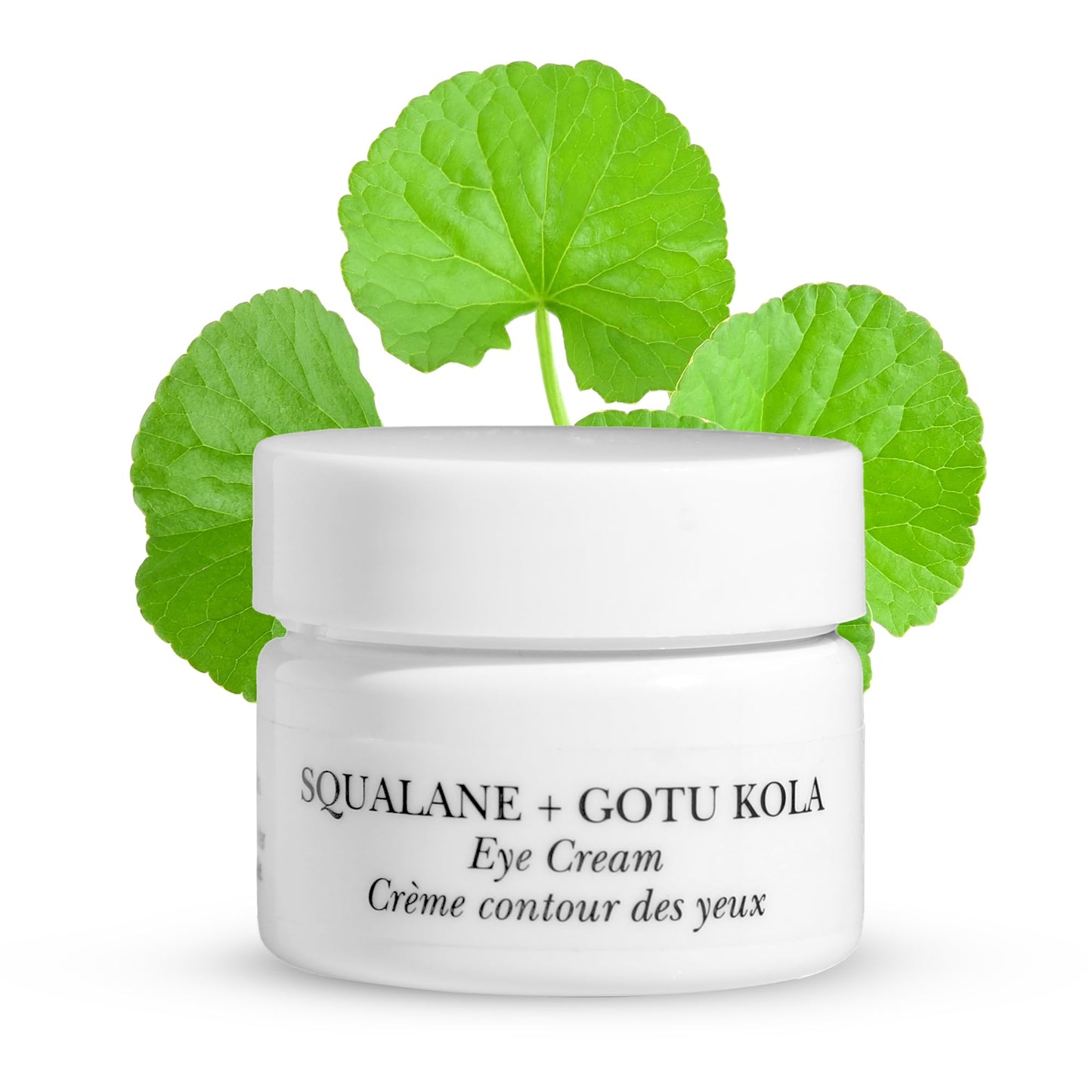 NOW BEAUTY Squalane Plus Gotu Kola Eye Cream - Brightening, Anti-Aging Under Eye Cream- Anti - Wrinkle Vitamin C Cream- Vegan - For Men & Women
