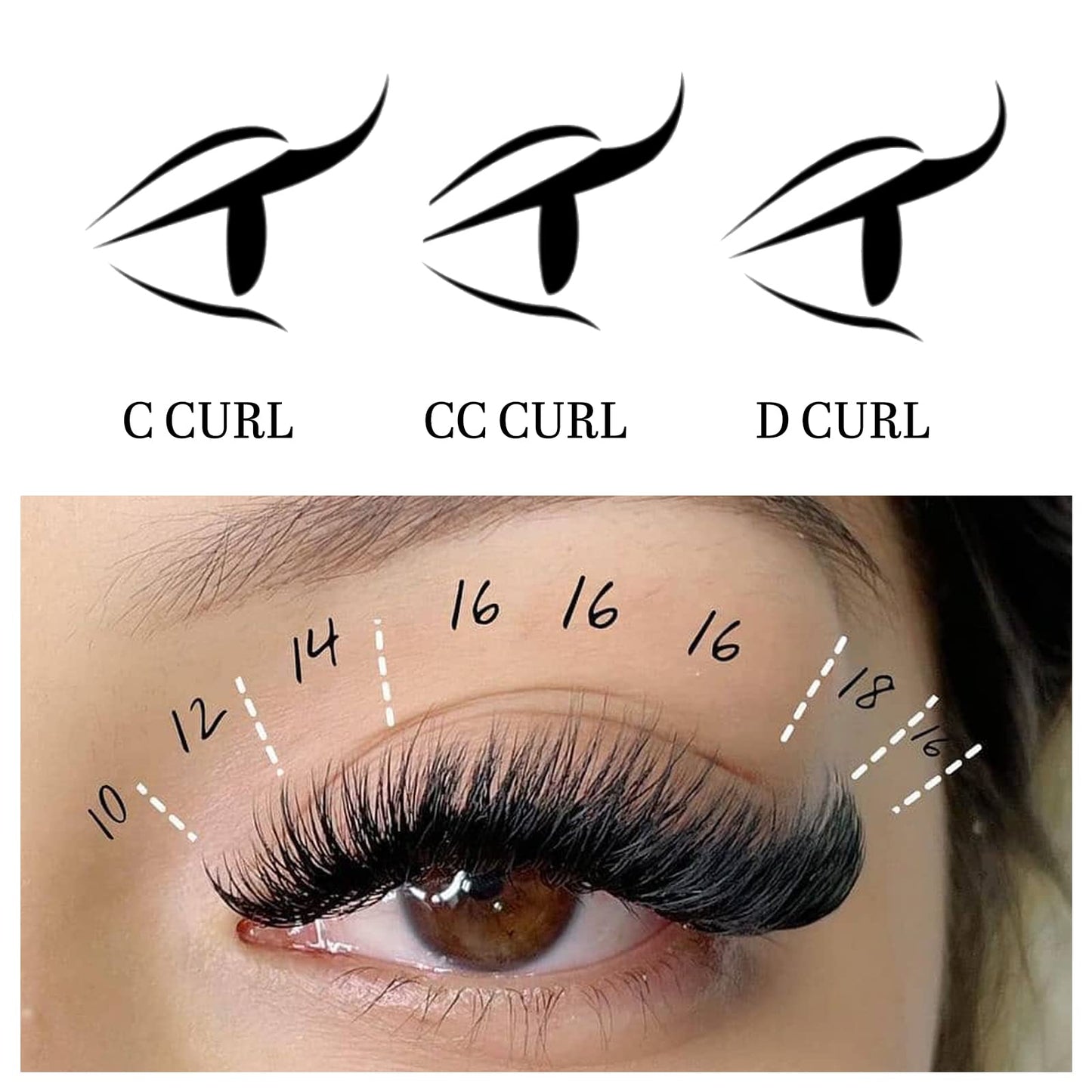 VEYES INC Easy Fan Volume Lash Extensions 03 05 07 J/B/L/C/CC/D/DD Curl 8-25mm Mixed & Single Length Tray, Matte Black Self Fanning Eyelashes Beauty and Personal Care VEYES INC