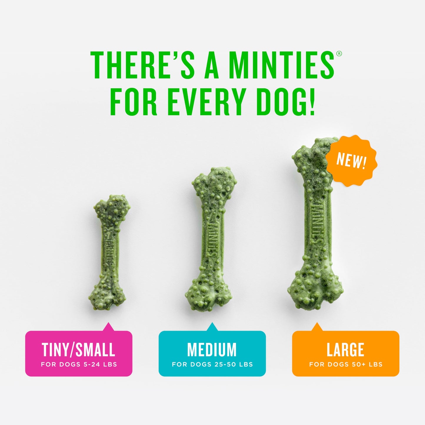 Minties Dental Chews for Medium Dogs (60 Count) – Vet-Recommended Treats Clean Teeth, Freshen Breath, Remove Plaque & Tartar