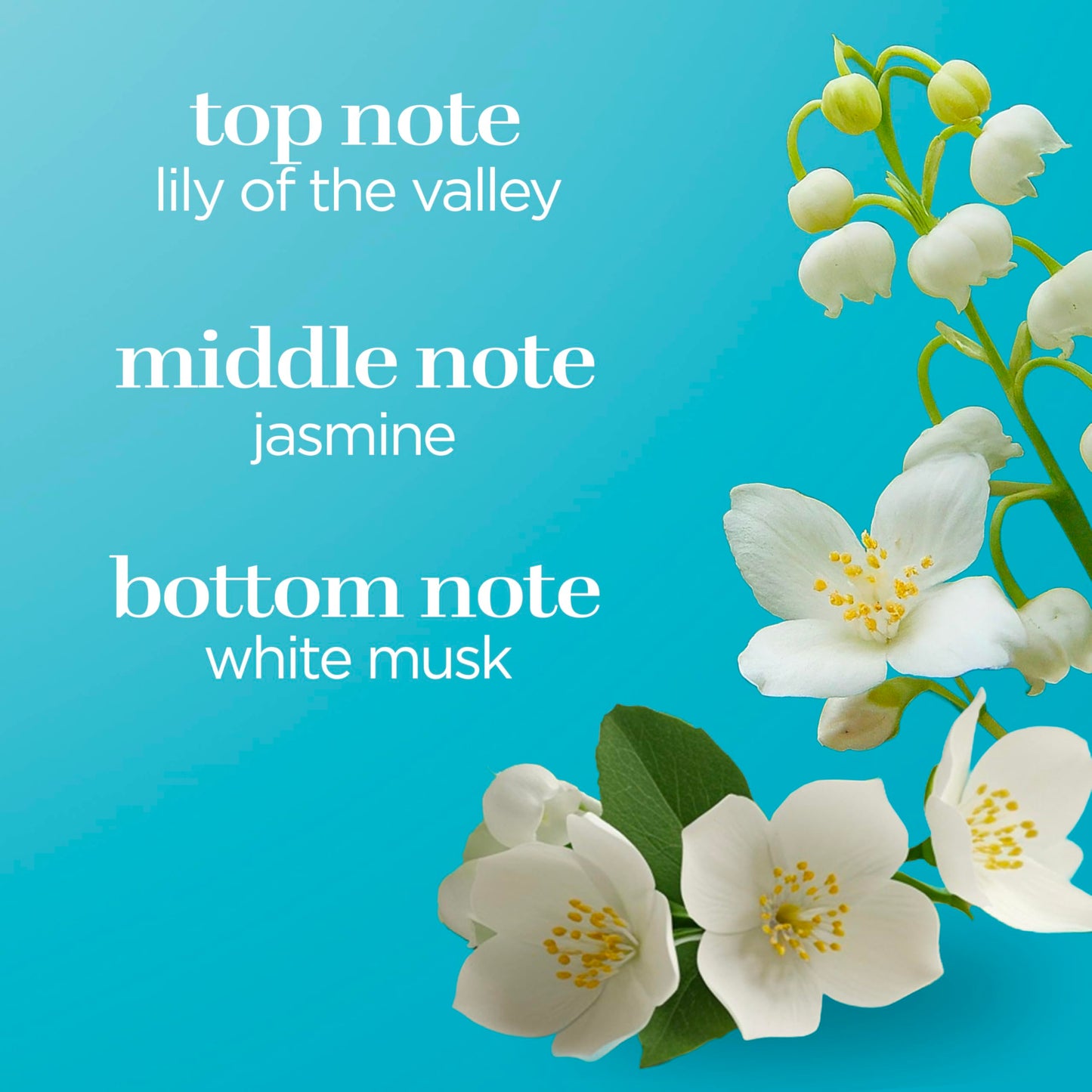 Body Fantasies Signature Fragrance Body Spray, Fresh White Musk, 8 Fluid Ounce