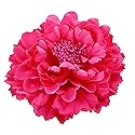 Hair Flower Clips Brooch Boutique Hair Accessories Bohemia Hairpins for Women Girls (Rose)
