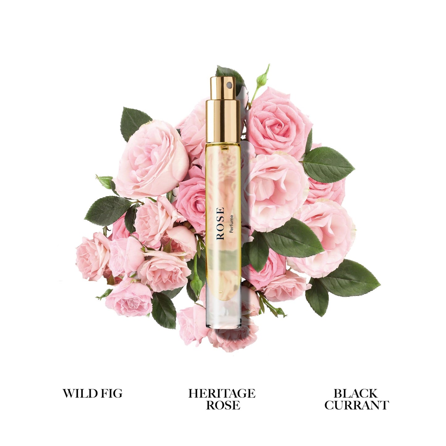 Caswell-Massey Rose Perfume Spray, Classic Floral for Women with Wild Fig, Currant, and Rose, Made in USA, 0.25 Oz