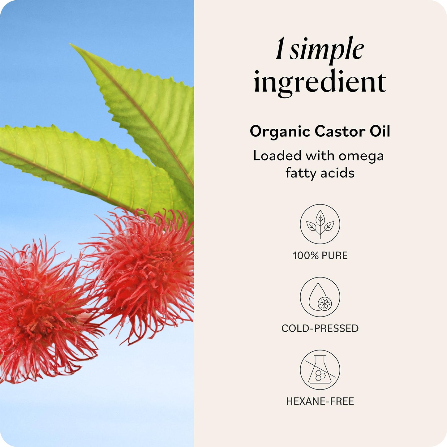 Sky Organics - Castor Oil Organic - Volumizing Hair Oil - Scalp, Lashes, Brows - Pure Castor Oil Cold Pressed - Natural Conditioner - Omega Fatty Beauty and Personal Care Sky Organics
