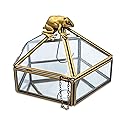 Ukonic Harry Potter Gold Chocolate Frog Jewelry Box Organizer Display Case Container | Jewelry Dish Trinket Tray For Necklaces, Rings, Bracelets…
