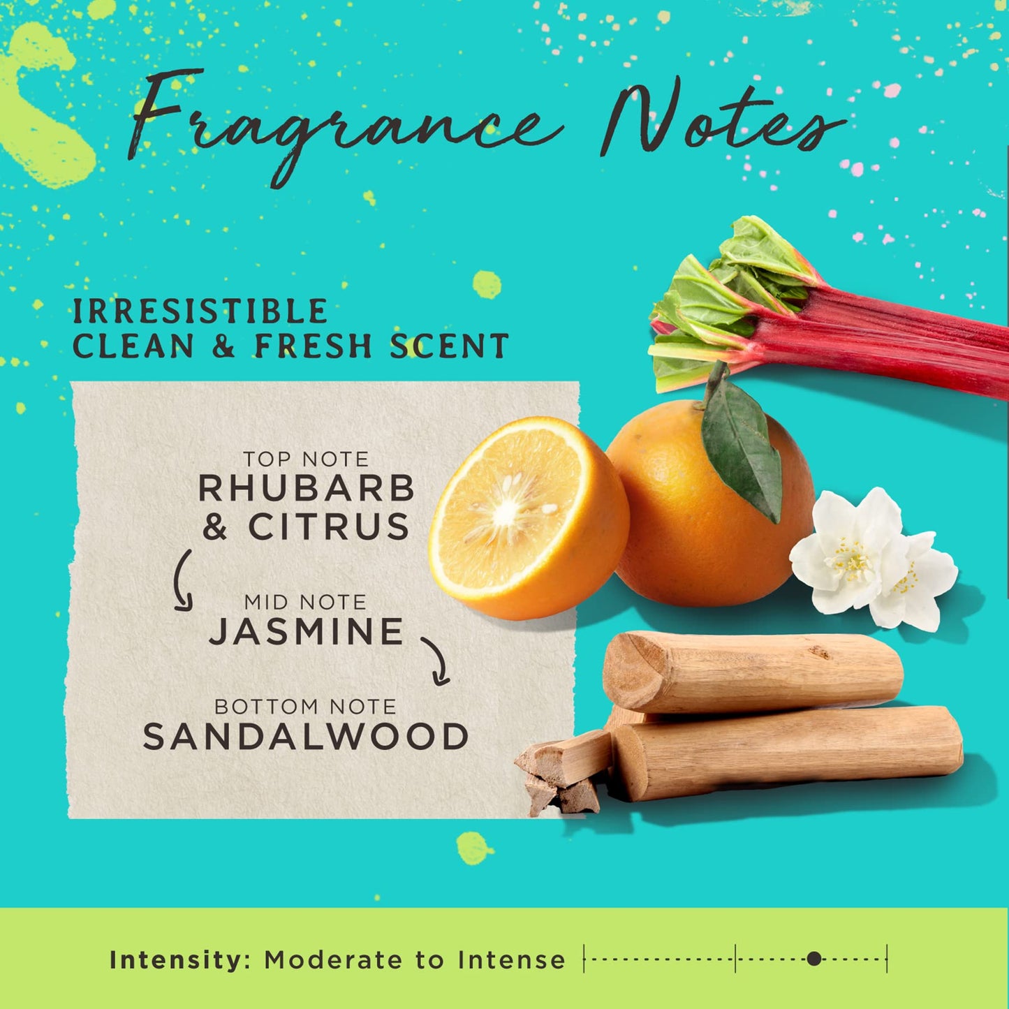 Carol's Daughter Born To Repair Leave In Hair Cream, Moisturizing, Curl Defining and Anti Frizz Hair Care for Curls with Shea Butter, 6.8 Fl Oz