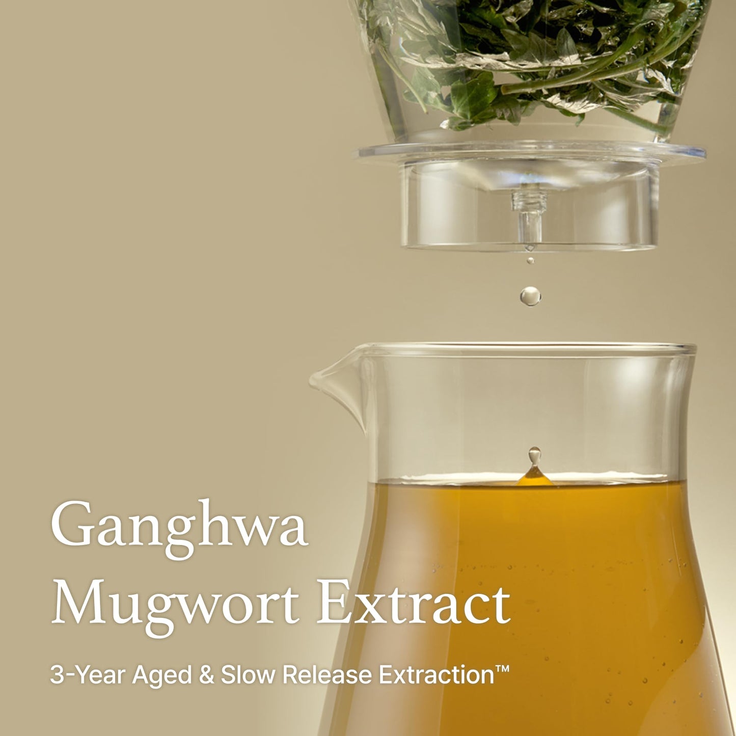I'm From Mugwort Essence | Vegan Extract - Soothe Sensitive and Irritated Skin, Redness Relief, Refreshing, Korean Hydrating Toner | 5.4 Fl Oz, All