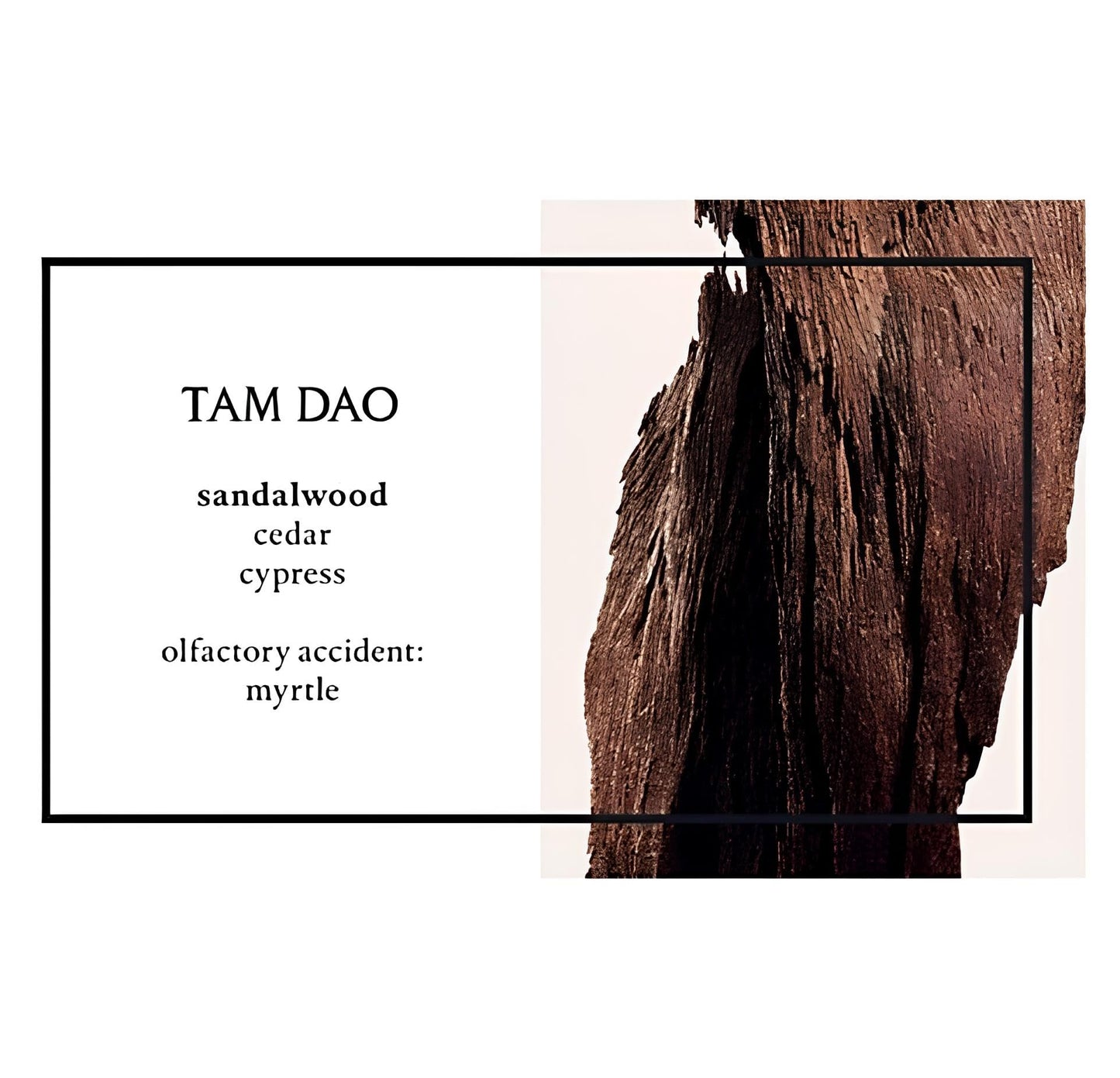 Diptyque Tam Dao Unisex EDT Spray 3.4 oz