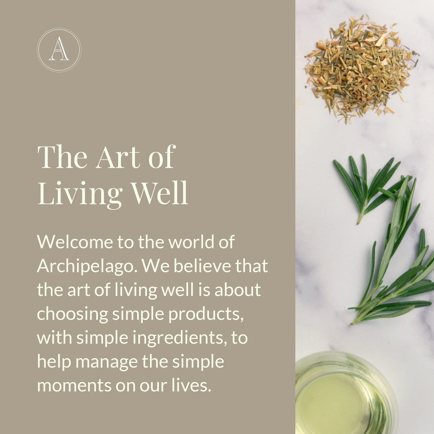 Archipelago Botanicals Soy Milk Lotion for Rehydration and Regeneration, Soy Body Lotion and Moisturizer for Dry or Sensitive Skin, Paraben-Free