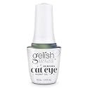 Gelish Aurora Cat Eye Reflective Magnet Gel Polish - Big Bang for Your Buck, 15mL Beauty & Personal Care Gelish