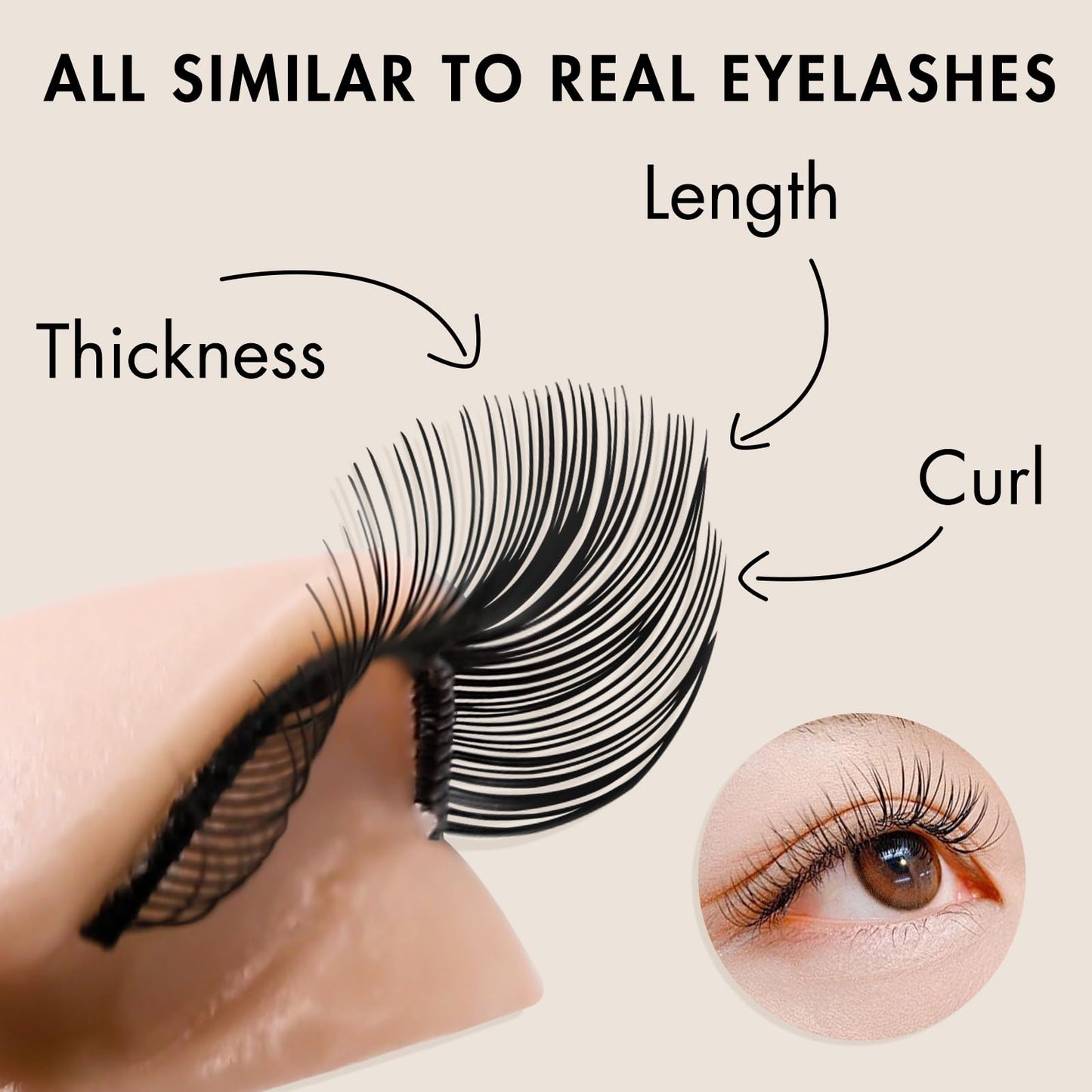Embagol Multifunction Replaced Eyelids Makeup for Training Head Removable Realistic Eyelids Eyelash Training (3 Pair (Pack of 1))