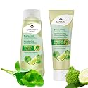 Herbal Shampoo and Conditioner Set with Leech Lime & Centella - Gentle Hair Care for Healthy-Looking Hair, Paraben-, Sulfate- & Silicone-Free, Vegan