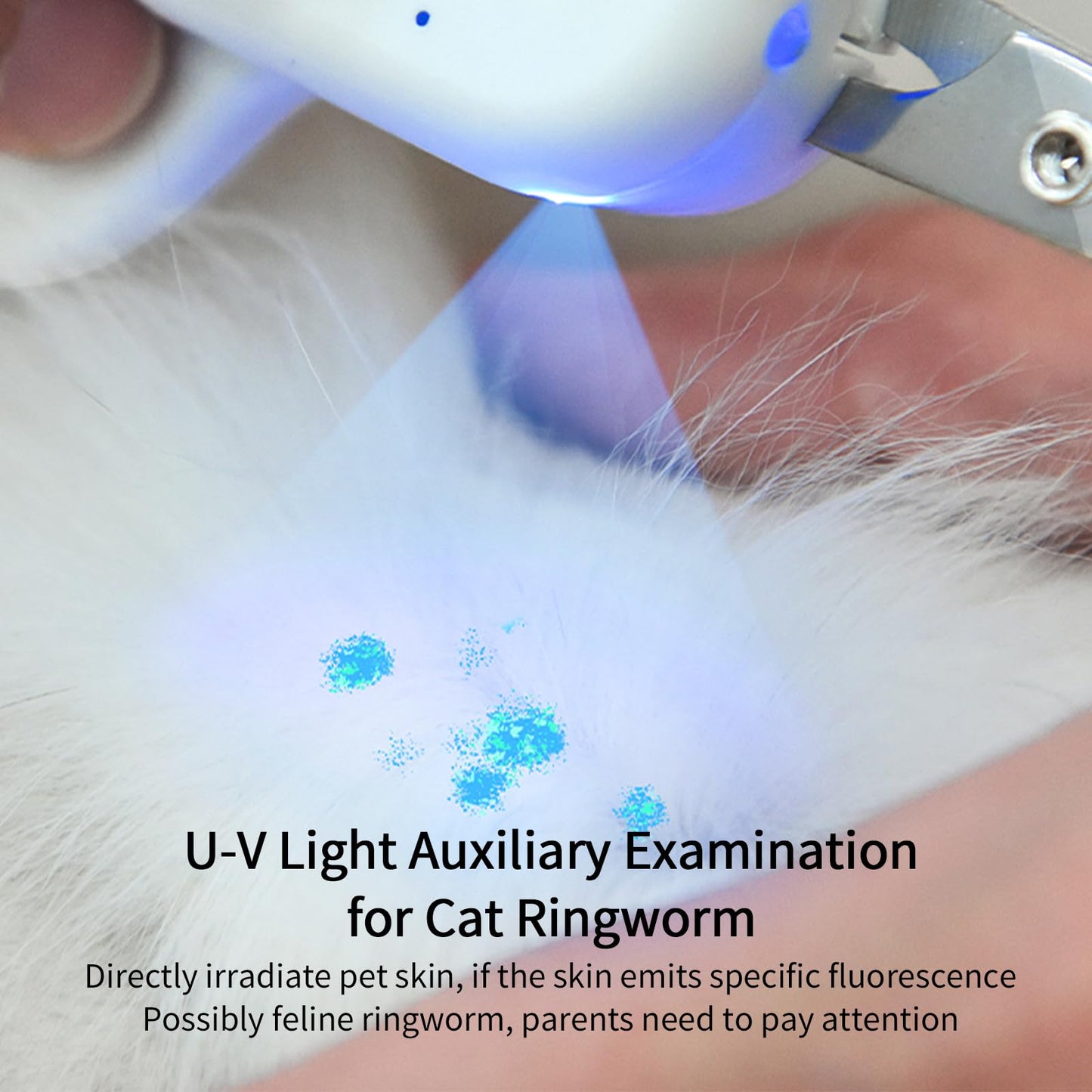 PAKEWAY Pet Nail Clipper with LED & UV Light – Sharp Angled Blade for Safe Grooming of Cats, Dogs, Rabbits & Small Animals