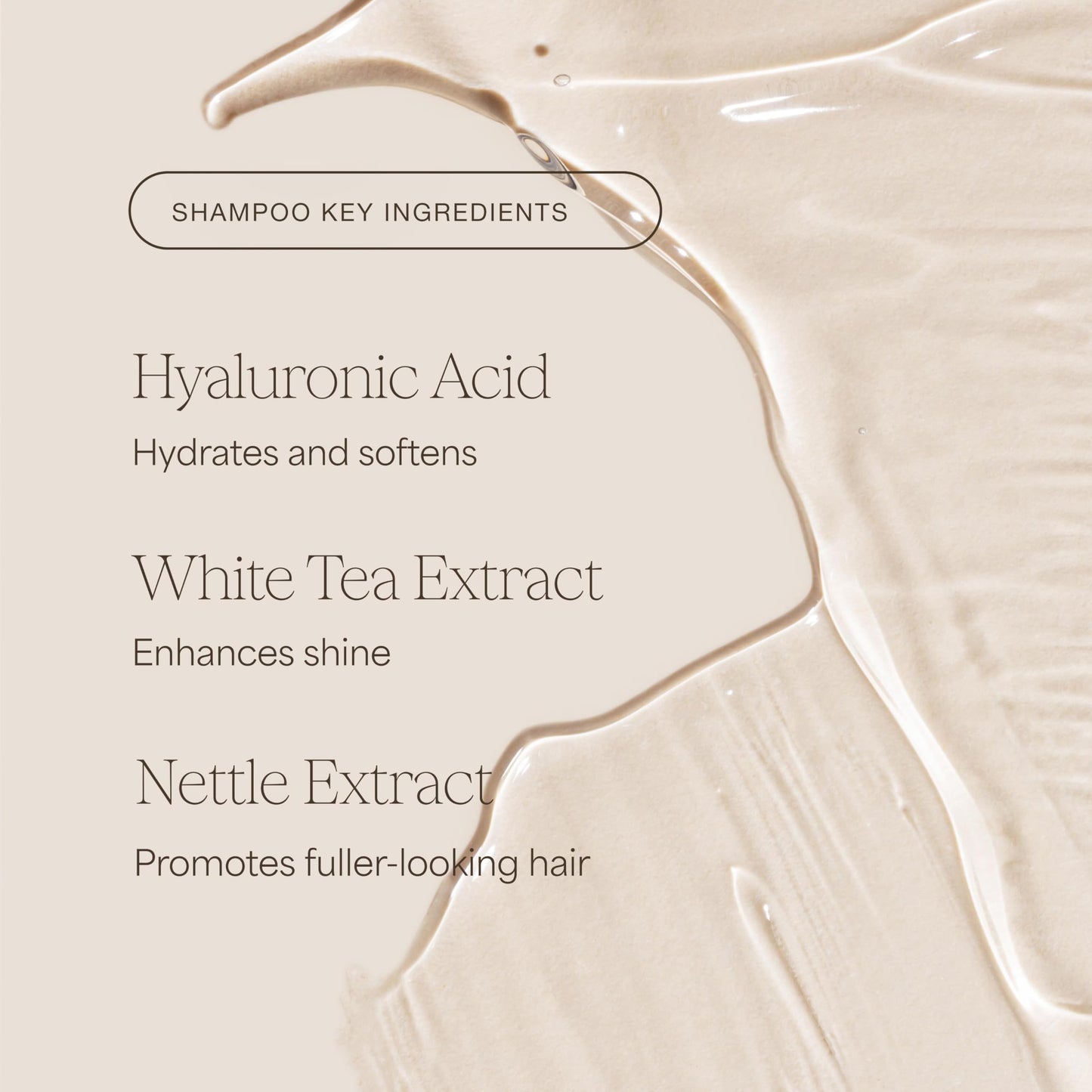 Raw Sugar Shampoo and Conditioner Set, The Volume Revive Hair Care Duo, 16 Fl Oz (2 Products) Boosts Volume, A Volumizing Haircare Bundle, Without