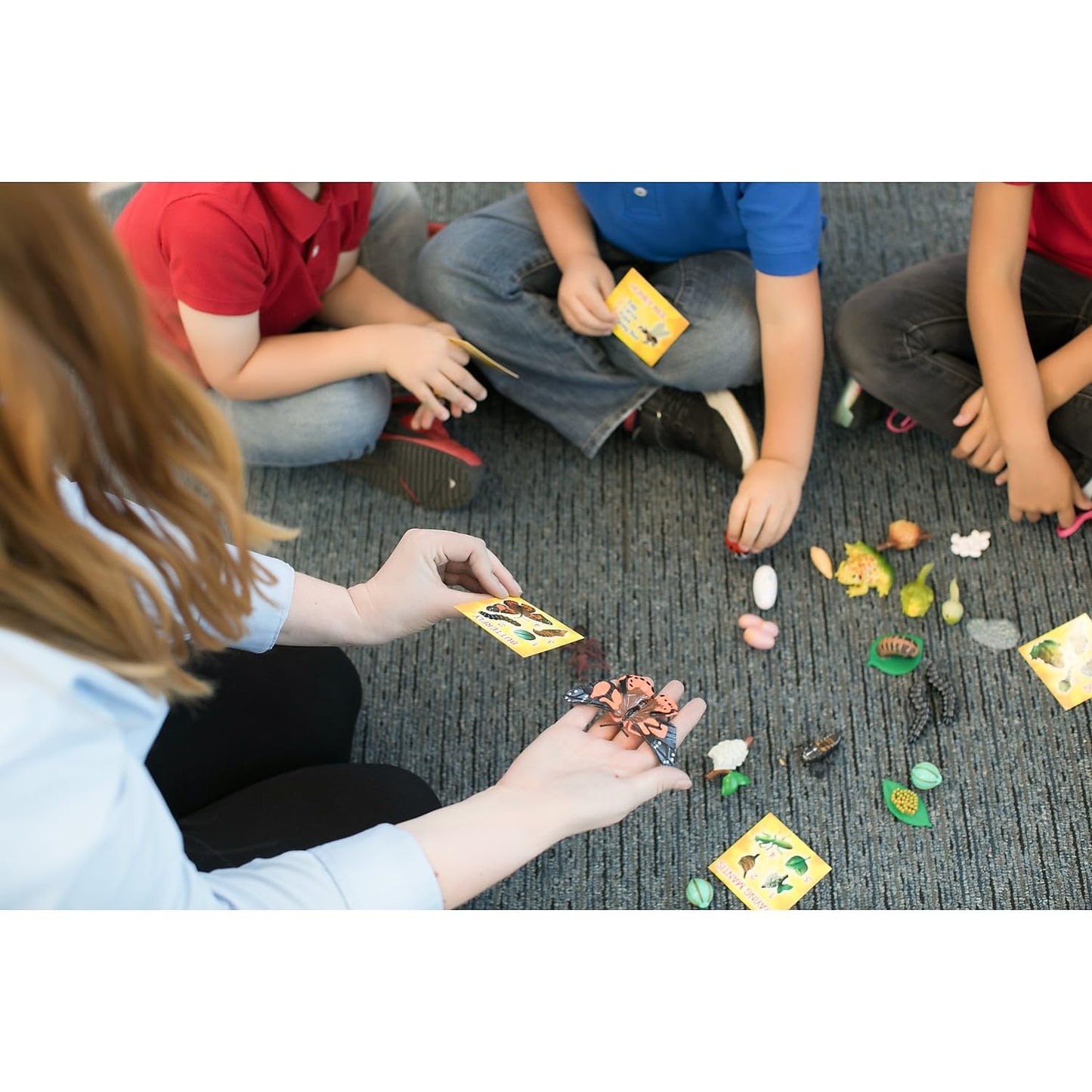 Insect Lore's Life Cycle Figurines 24 Pc Set | Butterfly, Ladybug, Frog, Honey Bee, Ant and Praying Mantis | 4 Stages Per Insect, 24 Figurines Total