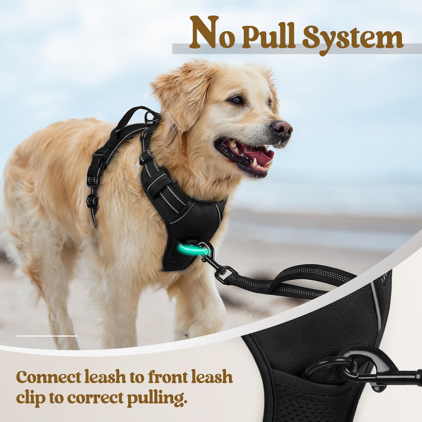 rabbitgoo No-Pull Dog Harness for Large Dogs, Adjustable Padded Vest with 2 Leash Clips, Reflective & Easy Control Handle, Black L