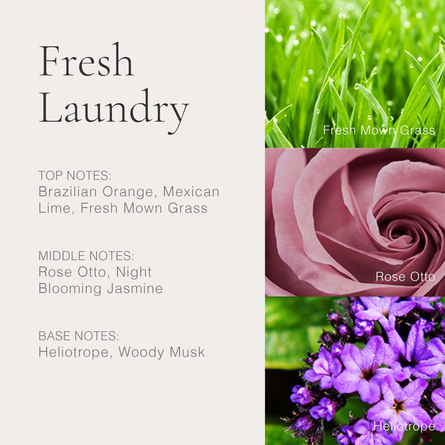 CLEAN CLASSIC Fresh Laundry 60mL