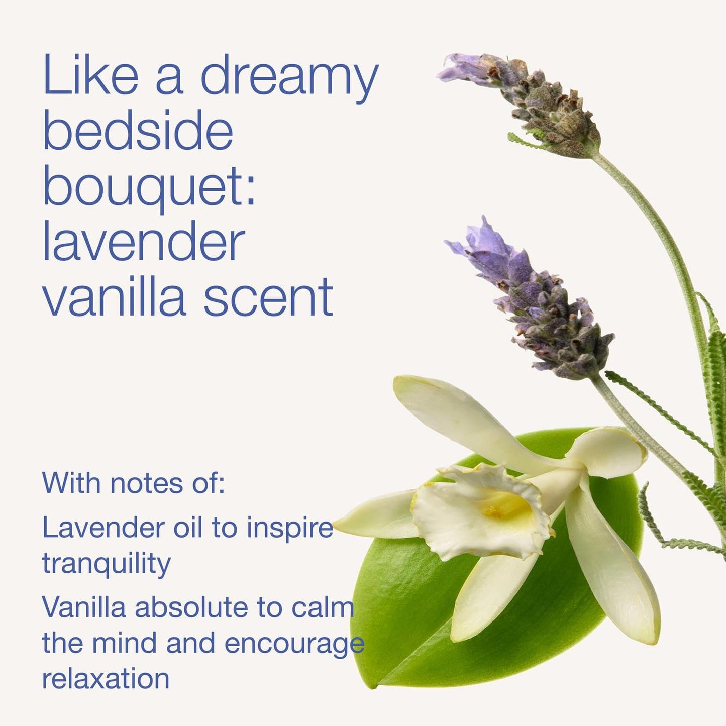 Bath & Body Works Lavender Vanilla Body Wash & Foam Bath, Aromatherapy Cleanser with Vitamin E & Aloe, Non-Drying & Gentle for Daily Use, 10 fl oz - 1