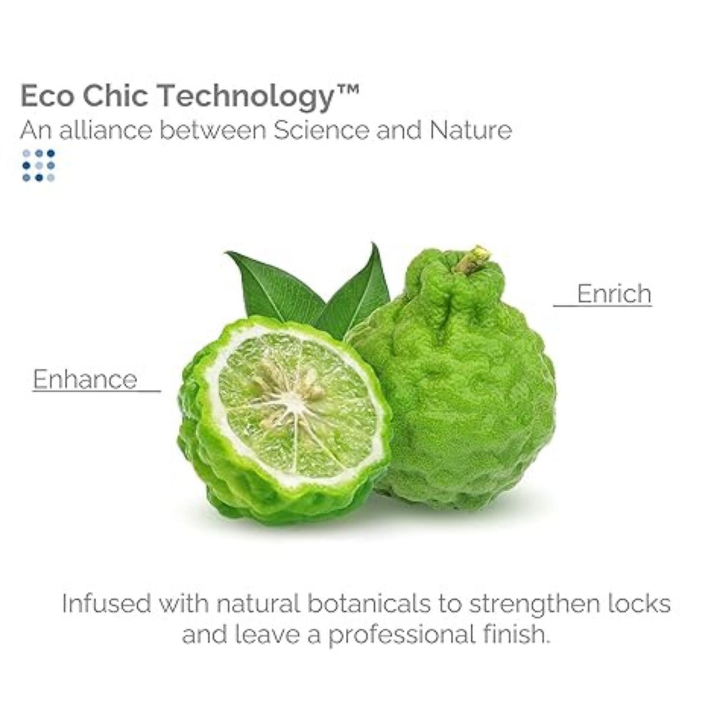 GIOVANNI ECO CHIC Frizz Be Gone - Super Smoothing Anti-Frizz Hair Serum, Adds Shine, Seals in Color, Infused with Natural Botanical Ingredients