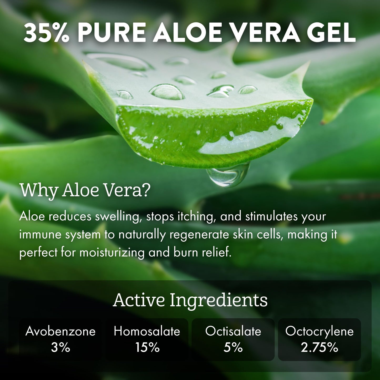ALOE UP Sport Continuous Spray Sunscreen SPF 50 - Broad Spectrum UVA/UVB Sunscreen Protector for Face and Body - With Aloe Vera Gel - Fast Absorbing