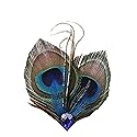 Women Bohemian Peacock Feather Hair Clip Hair Pin Elegant Fascinator Wedding Dance Party Headdress Headwear Hair Accessory Sequined Showgirl Headpiece