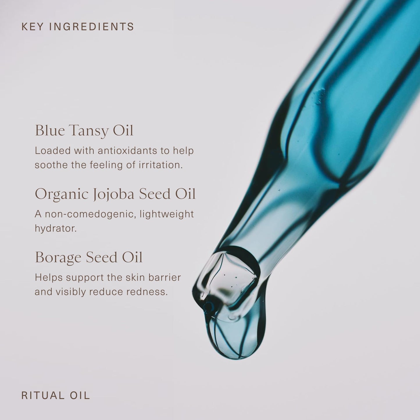 Oak Essentials Ritual Oil, Blue Tansy Hydrating Face Oil with Organic Jojoba Seed and Borage Seed Oils, Balances Sensitive-Feeling Skin, Silky Finish