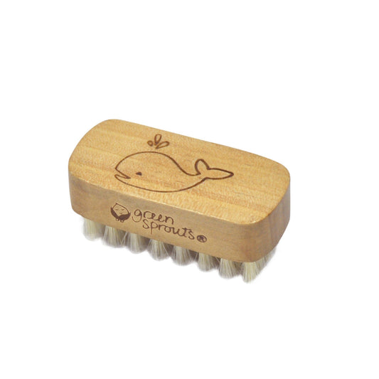 green sprouts Nail Brush Beauty & Personal Care Green Sprouts