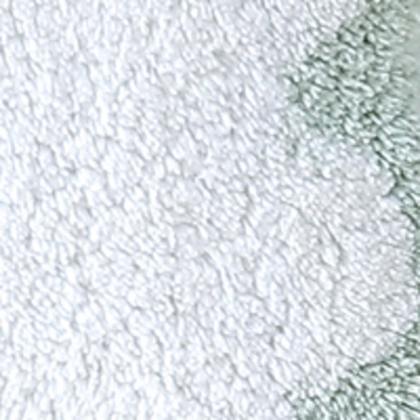 Peri Home Scalloped Bath Rug - Soft & Absorbent 100% Cotton Tufted Bath Mat, 20" x 30", White with Sage Scallop